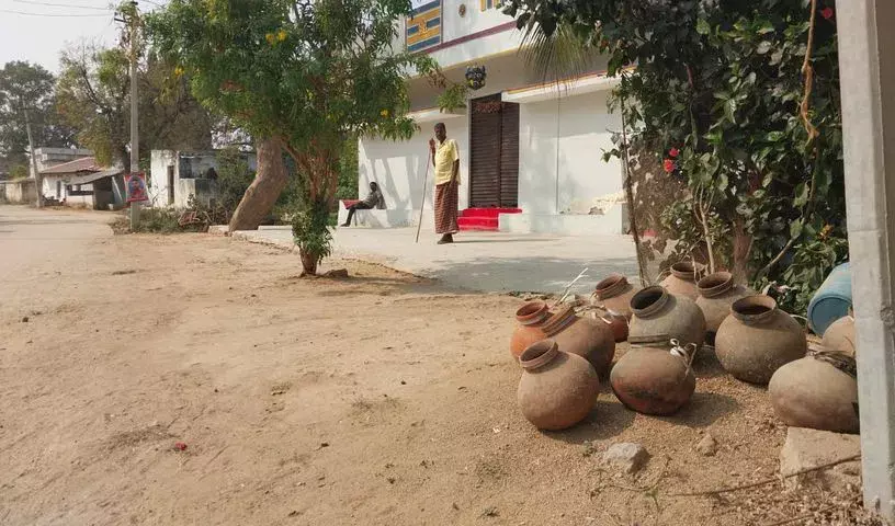 Telangana: मवेशियों पर हमले के बाद यदाद्री और तुर्कापल्ली में बाघ का डर फैल गया Telangana: मवेशियों पर हमले के बाद यदाद्री और तुर्कापल्ली में बाघ का डर फैल गया