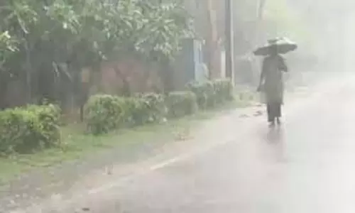 Punjab:  बारिश ने फिर बढ़ाई ठंड, कई जिले में Yellow Alert