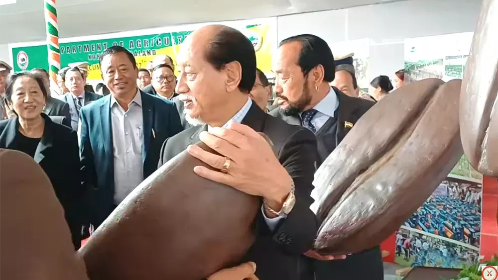 Nagaland : सीएम ने प्रदर्शनी स्टॉलों का उद्घाटन किया