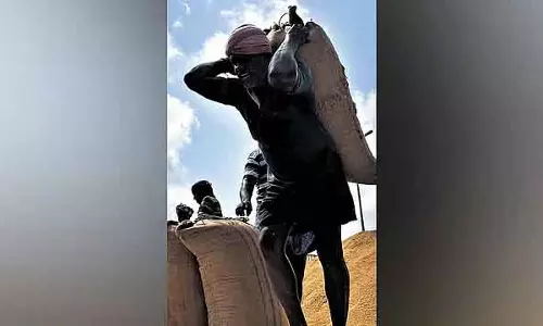 Jute की कमी, बोरी उपलब्ध नही : किसान परेशान हैं क्योंकि बाजरा खरीदा नहीं जा सकता Jute की कमी, बोरी उपलब्ध नही : किसान परेशान हैं क्योंकि बाजरा खरीदा नहीं जा सकता