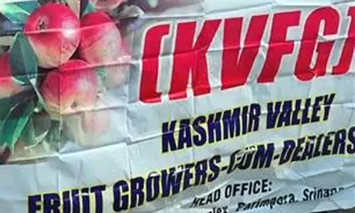 Fruit उत्पादकों ने नुकसान के मुआवजे की मांग की