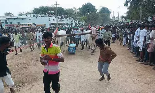 पत्थर खींचने की प्रतियोगिता: Kiccha बॉयज़ की बैल जोड़ी ने पहला स्थान जीत