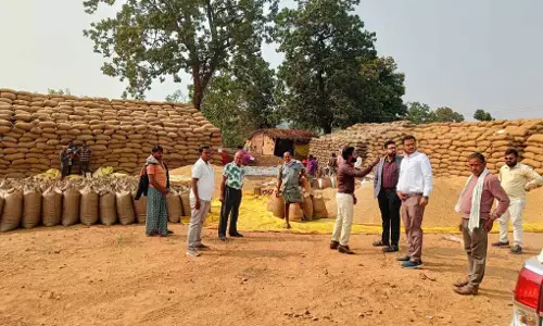 कलेक्टर विनय कुमार लंगेह ने किया औचक निरीक्षण
