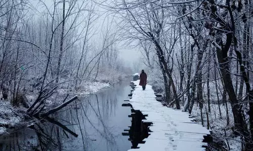 बर्फबारी के कारण Srinagar आने-जाने वाली 58 उड़ानें रद्द, पर्यटक फंसे