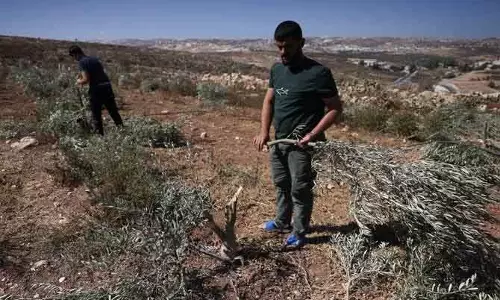 हेब्रोन के पास Palestinian संपत्ति को नुकसान हेब्रोन के पास Palestinian संपत्ति को नुकसान