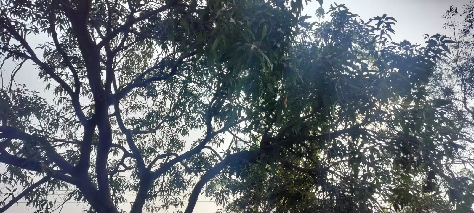 छत्तीसगढ़ : कल बारिश होने के आसार छत्तीसगढ़ : कल बारिश होने के आसार