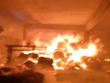Jaipur: गत्ते के गोदाम में आग पर काबू, दमकल की बड़ी कार्रवाई Jaipur: गत्ते के गोदाम में आग पर काबू, दमकल की बड़ी कार्रवाई