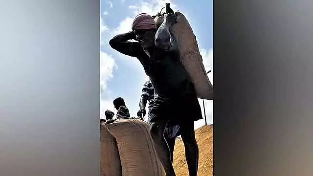 Jute की कमी, बोरी उपलब्ध नही : किसान परेशान हैं क्योंकि बाजरा खरीदा नहीं जा सकता Jute की कमी, बोरी उपलब्ध नही : किसान परेशान हैं क्योंकि बाजरा खरीदा नहीं जा सकता