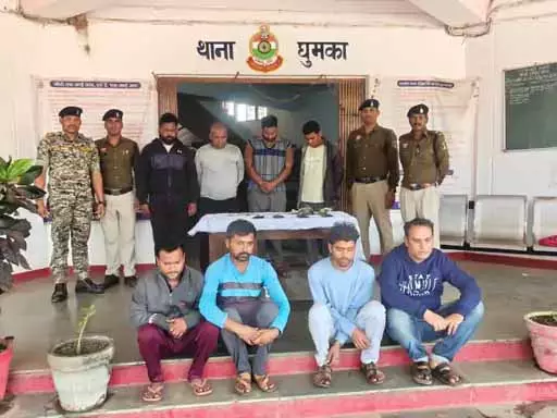 8 जुआरी गिरफ्तार, बाड़ी के पास पुलिस की रेड 8 जुआरी गिरफ्तार, बाड़ी के पास पुलिस की रेड