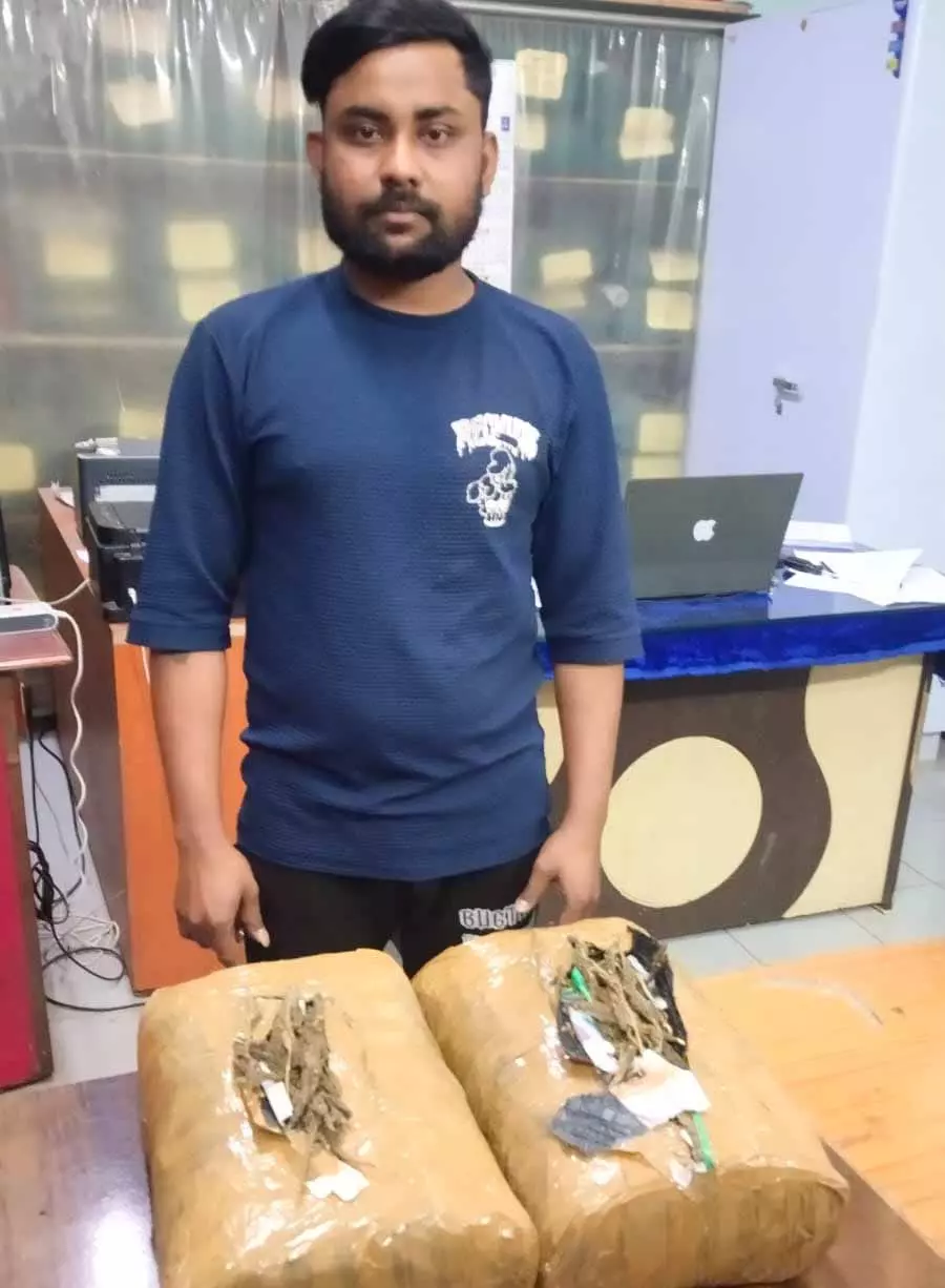 अवंति विहार में तालाब के पास गांजा तस्कर गिरफ्तार अवंति विहार में तालाब के पास गांजा तस्कर गिरफ्तार