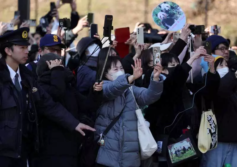Japan ने आखिरी विशाल पांडा को विदाई दी, दोनों जोड़े चीन के लिए रवाना हुए Japan ने आखिरी विशाल पांडा को विदाई दी, दोनों जोड़े चीन के लिए रवाना हुए
