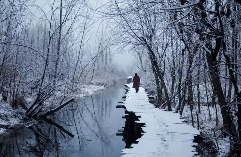 बर्फबारी के कारण Srinagar आने-जाने वाली 58 उड़ानें रद्द, पर्यटक फंसे बर्फबारी के कारण Srinagar आने-जाने वाली 58 उड़ानें रद्द, पर्यटक फंसे