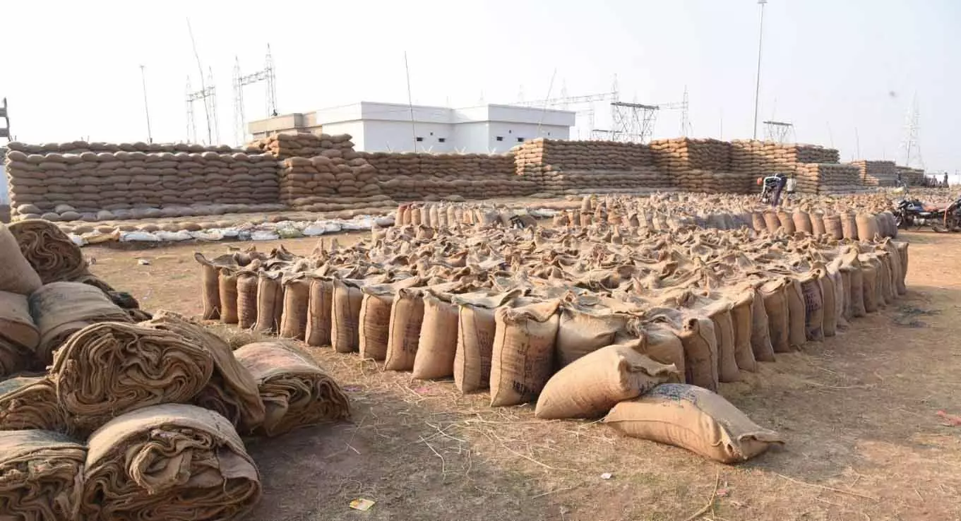 दुर्ग जिले में 4.97 लाख टन धान खरीदी, किसानों को 1.06 लाख करोड़ रुपये का भुगतान दुर्ग जिले में 4.97 लाख टन धान खरीदी, किसानों को 1.06 लाख करोड़ रुपये का भुगतान