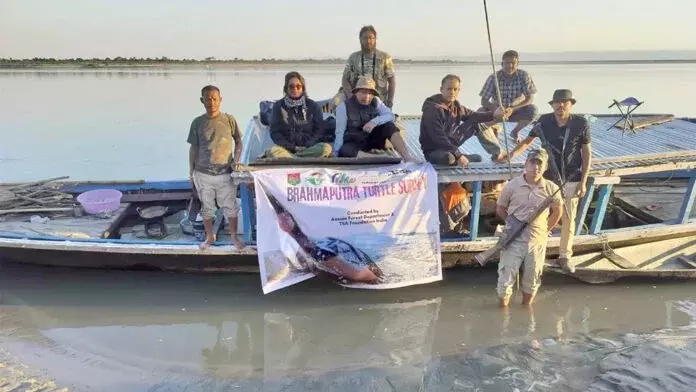 Kaziranga में सात प्रजातियों के 945 मीठे पानी के कछुए दर्ज किए गए Kaziranga में सात प्रजातियों के 945 मीठे पानी के कछुए दर्ज किए गए