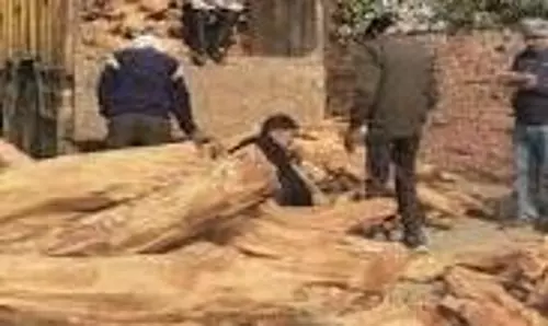 Haryana : वन विभाग के कर्मचारियों पर तस्करों ने किया जानलेवा हमला