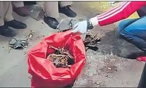Faridabad: ट्यूबवेल के कमरे से नरकंकाल मिलने से सनसनी Faridabad: ट्यूबवेल के कमरे से नरकंकाल मिलने से सनसनी