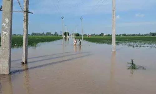 बाढ़ के बाद, Rohtak की पंचायतों से पंप किराए का बकाया चुकाने की मांग