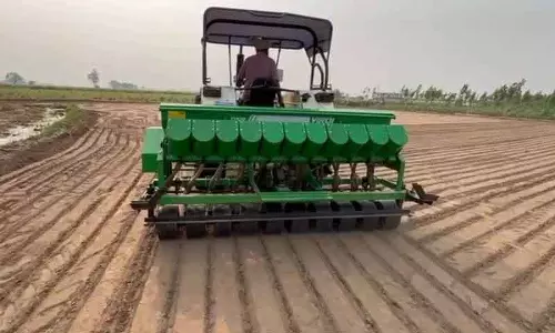 Ambala के किसानों को डायरेक्ट सीडेड राइस तकनीक के लिए 3.89 करोड़ रुपये का इंसेंटिव