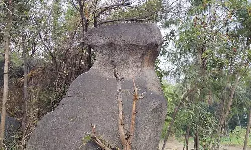 Tamil Nadu : 3 दुर्लभ मशरूम चट्टानें खोजी गई Tamil Nadu : 3 दुर्लभ मशरूम चट्टानें खोजी गई