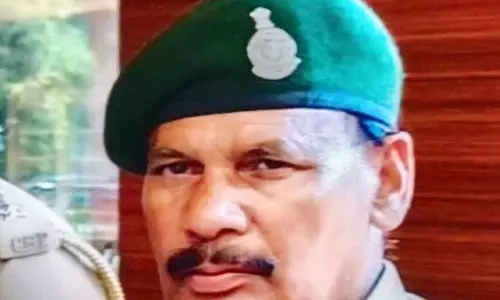रेंजर के संरक्षण में पल रहे भू माफिया, वन विभाग मौन! रेंजर के संरक्षण में पल रहे भू माफिया, वन विभाग मौन!
