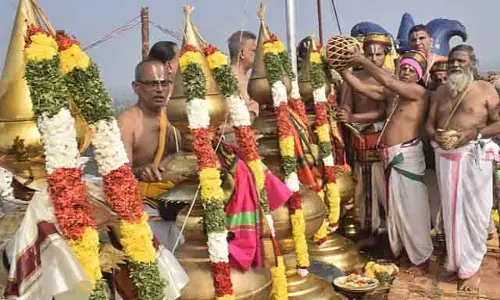 Kumbhabhishekam राजगोपालस्वामी मंदिर में कुंभाभिषेकम