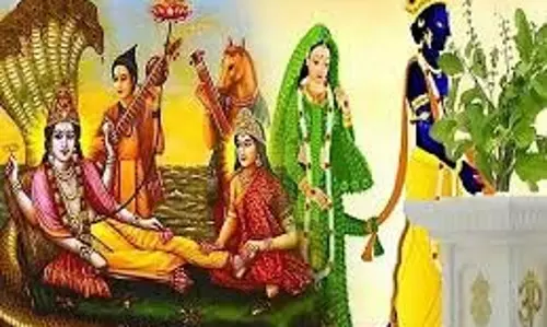 Tulsi Origin Story: जानिए क्यों बिना तुलसी अधूरी है विष्णु पूजा Tulsi Origin Story: जानिए क्यों बिना तुलसी अधूरी है विष्णु पूजा