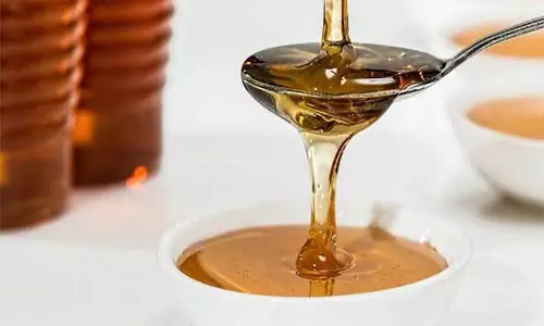 तीन दिवसीय Punjab सखी शक्ति मेला शुरू