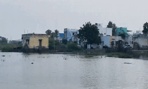 Tamil Nadu: थूथुकुडी में जमा बारिश के पानी से नमक उत्पादन ठप