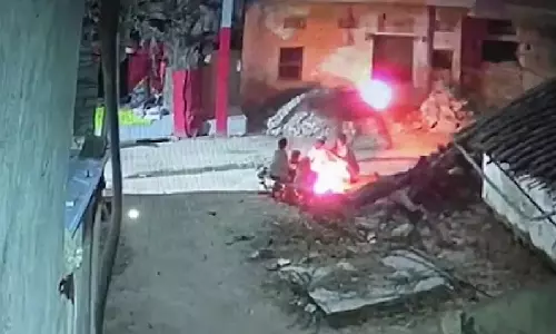 सांड को पेट्रोल से जला रहे थे बदमाश, गौ सेवा समिति ने बचाई जान सांड को पेट्रोल से जला रहे थे बदमाश, गौ सेवा समिति ने बचाई जान