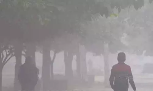 IMD ने अगले दो दिनों तक ओडिशा के चार जिलों में घने कोहरे की चेतावनी दी