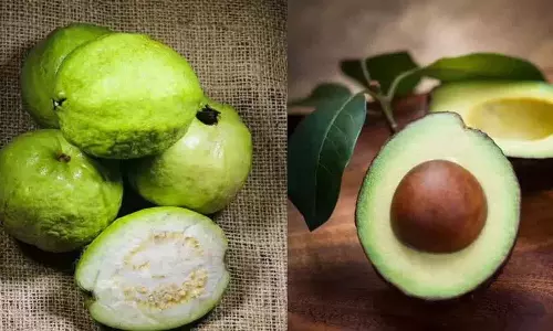 Guava Vs Avocado: दोनों में से कौन हमें ज़्यादा स्वास्थ्य लाभ देता है?