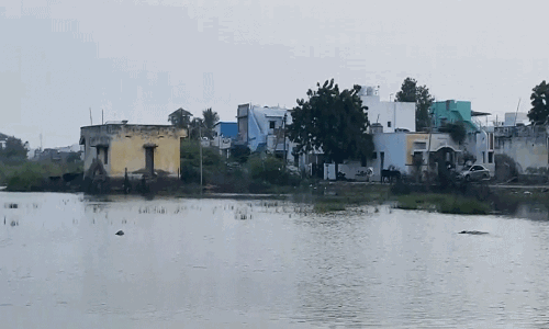 Thoothukudi में रुके हुए बारिश के पानी के कारण नमक उत्पादन ठप