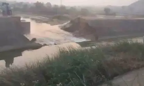 Siddipet जिले में नहर जाम होने से सिंचाई का पानी बर्बाद हुआ Siddipet जिले में नहर जाम होने से सिंचाई का पानी बर्बाद हुआ