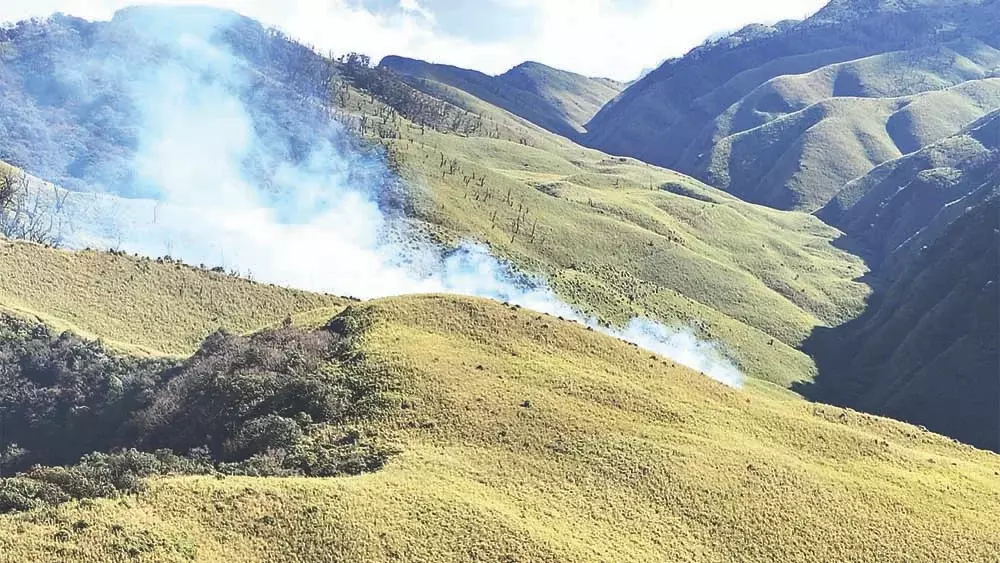 Nagaland : डीसी कोहिमा ने ज़ुकू आग के लिए टीम बनाई Nagaland : डीसी कोहिमा ने ज़ुकू आग के लिए टीम बनाई
