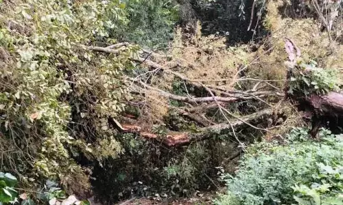 Nilgiri Mountain Railway पर संकट: भू-स्थिरता अध्ययन की मांग तेज