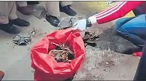 Faridabad: ट्यूबवेल के कमरे से नरकंकाल मिलने से सनसनी Faridabad: ट्यूबवेल के कमरे से नरकंकाल मिलने से सनसनी
