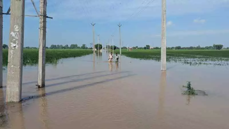 बाढ़ के बाद, Rohtak की पंचायतों से पंप किराए का बकाया चुकाने की मांग बाढ़ के बाद, Rohtak की पंचायतों से पंप किराए का बकाया चुकाने की मांग