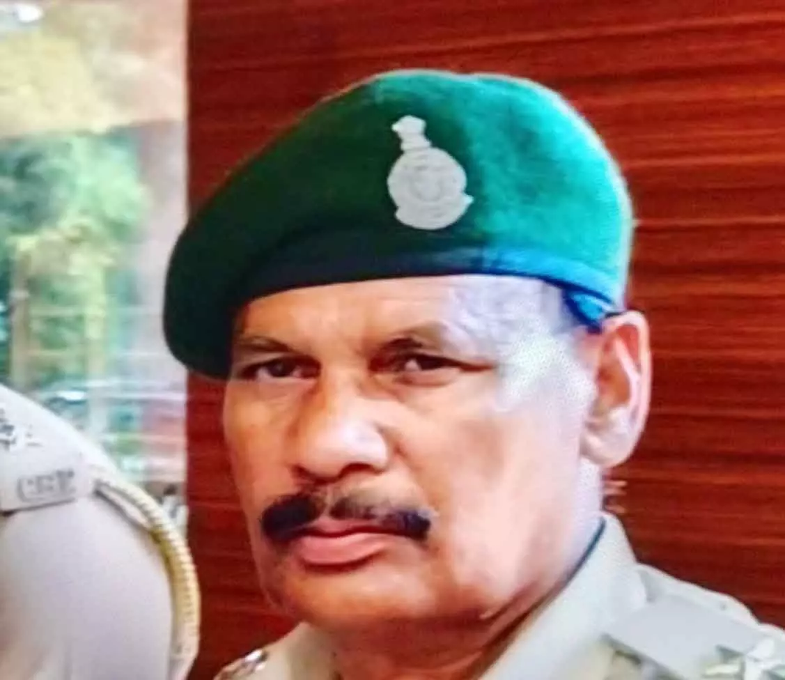 रेंजर के संरक्षण में पल रहे भू माफिया, वन विभाग मौन! रेंजर के संरक्षण में पल रहे भू माफिया, वन विभाग मौन!