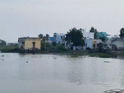 Tamil Nadu: थूथुकुडी में जमा बारिश के पानी से नमक उत्पादन ठप Tamil Nadu: थूथुकुडी में जमा बारिश के पानी से नमक उत्पादन ठप