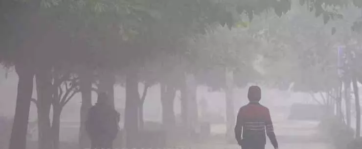 IMD ने अगले दो दिनों तक ओडिशा के चार जिलों में घने कोहरे की चेतावनी दी IMD ने अगले दो दिनों तक ओडिशा के चार जिलों में घने कोहरे की चेतावनी दी