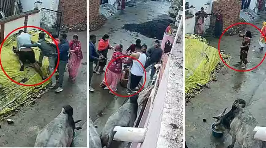 Jabalpur: पुराने झगड़े में महिला को घर से बाहर खींचकर पीटा गया Jabalpur: पुराने झगड़े में महिला को घर से बाहर खींचकर पीटा गया