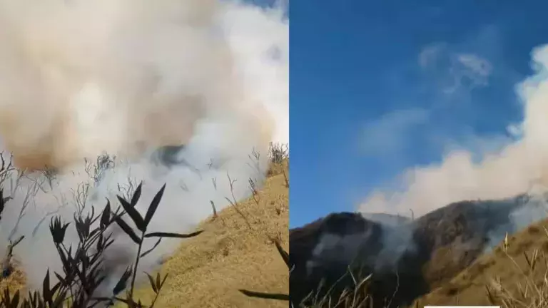 Nagaland: आग लगने की खबर के बाद ज़ुकोऊ की ट्रेकिंग रोक दी गई Nagaland: आग लगने की खबर के बाद ज़ुकोऊ की ट्रेकिंग रोक दी गई