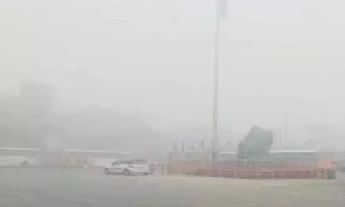 Rajasthan:कड़ाके की ठंड, 31 जनवरी और 1 फरवरी को बारिश का अलर्ट