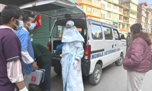 कबूतर और कौवे की असामान्य मौत की खबर, influenza found का कोई मामला नहीं मिला कबूतर और कौवे की असामान्य मौत की खबर, influenza found का कोई मामला नहीं मिला