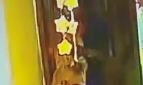 आया की क्रूरता, रायपुर के नर्सरी स्कूल का वीडियो वायरल