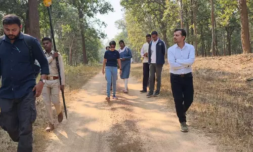 बारनवापारा पहुंचे प्रशिक्षु IFS अफसर, वन्यजीव प्रबंधन का लिया व्यवहारिक प्रशिक्षण बारनवापारा पहुंचे प्रशिक्षु IFS अफसर, वन्यजीव प्रबंधन का लिया व्यवहारिक प्रशिक्षण