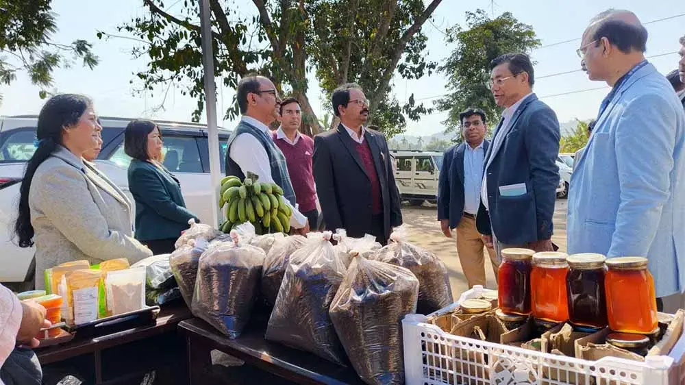 Nagaland : केवीके एसएसी बैठक में कन्वर्जेंस पर फोकस किया Nagaland : केवीके एसएसी बैठक में कन्वर्जेंस पर फोकस किया