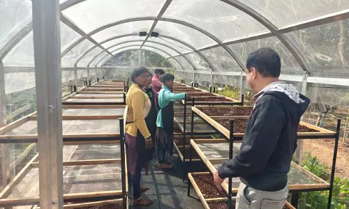 जशपुर में DST प्रायोजित परियोजना के तहत सोलर टनल ड्रायर की स्थापना जशपुर में DST प्रायोजित परियोजना के तहत सोलर टनल ड्रायर की स्थापना