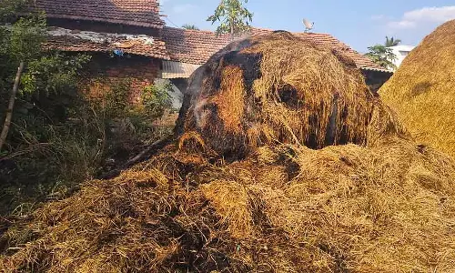 धान के खेत में आग लगी; 2 लाख रुपये का नुकसान धान के खेत में आग लगी; 2 लाख रुपये का नुकसान