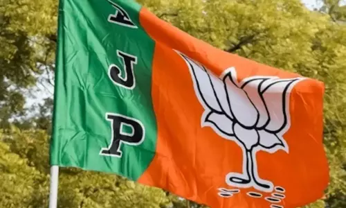 कांग्रेस में वेलफेयर संग फेयरवेल का खेल चल रहा है : चौहान